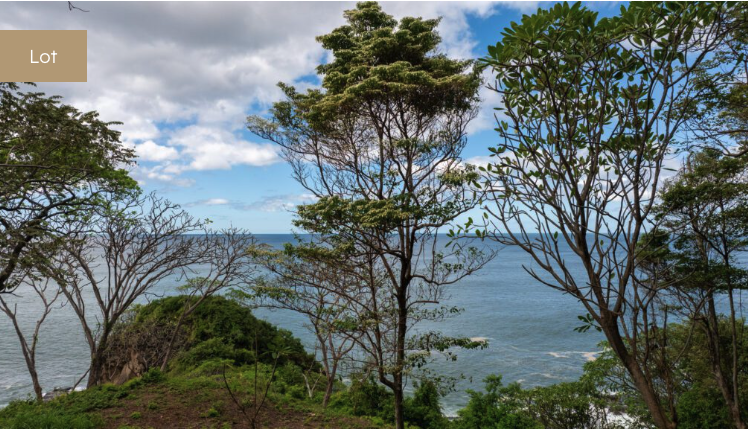 Ocean view property